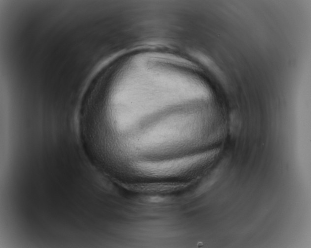 X0000092081412200710031128