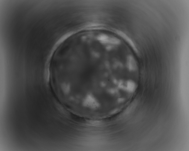 X0000092081413200710031128