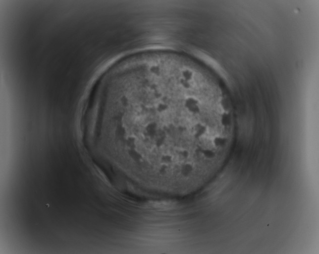 X0000092081415200710031128