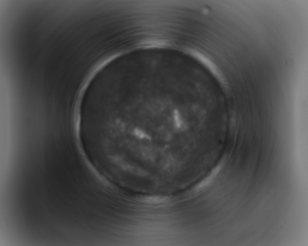 X0000092081418200710031128