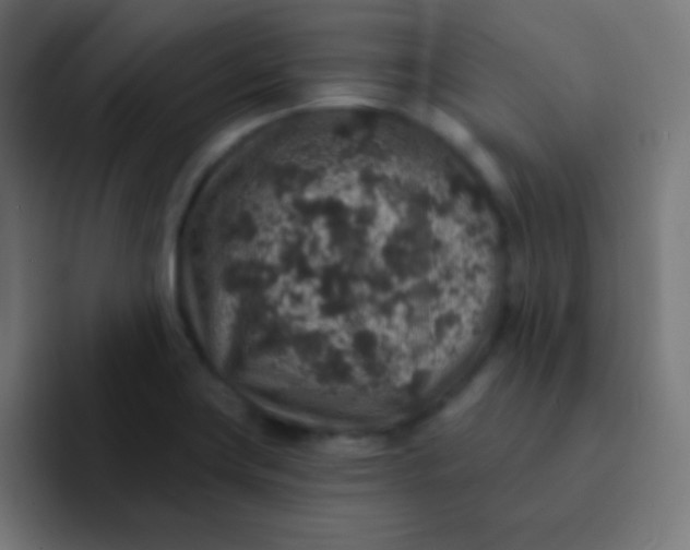 X0000092081419200710031128