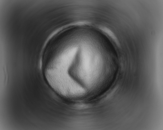 X0000092081420200710031128