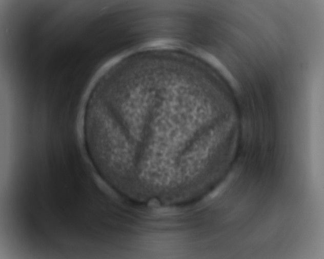 X0000092081421200710031128