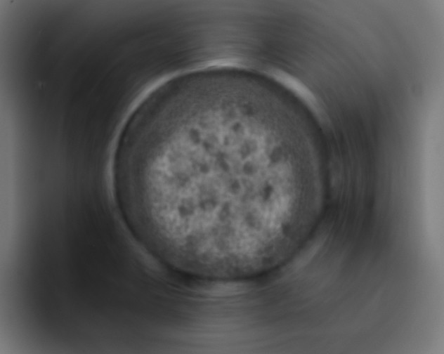 X0000092081423200710031128