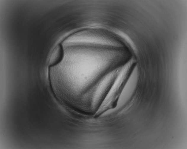 X0000092081424200710031128