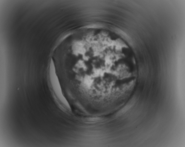 X0000092081425200710031128