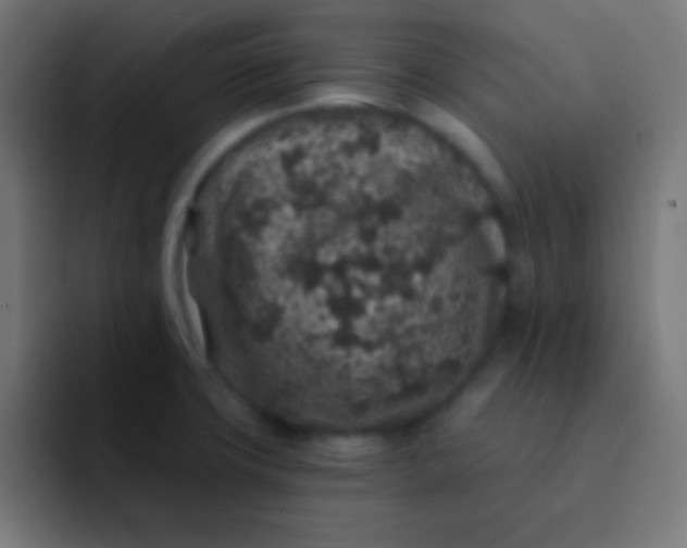 X0000092081427200710031128