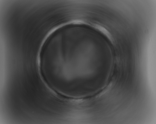 X0000092081428200710031128