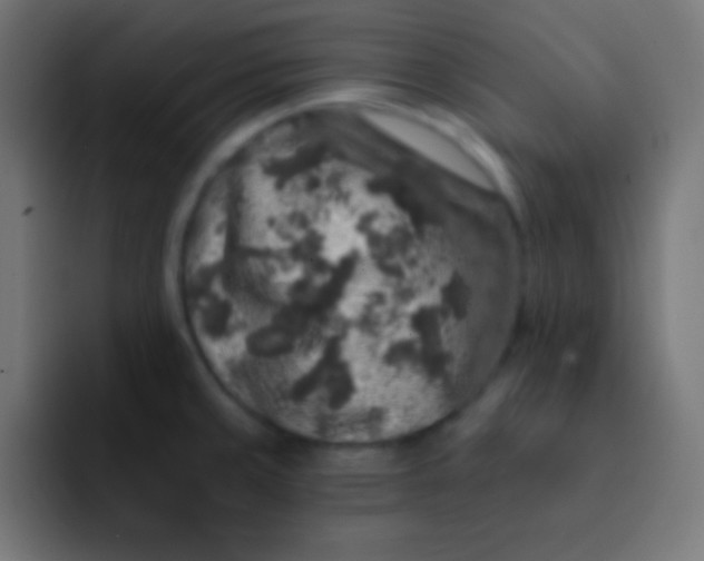 X0000092081429200710031128