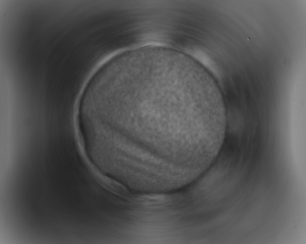 X0000092081431200710031128