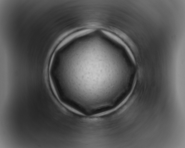 X0000092081432200710031128