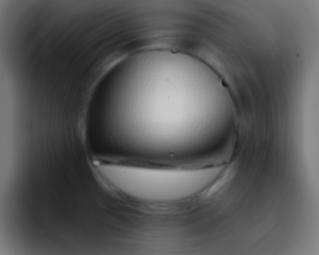 X0000092081433200710031128