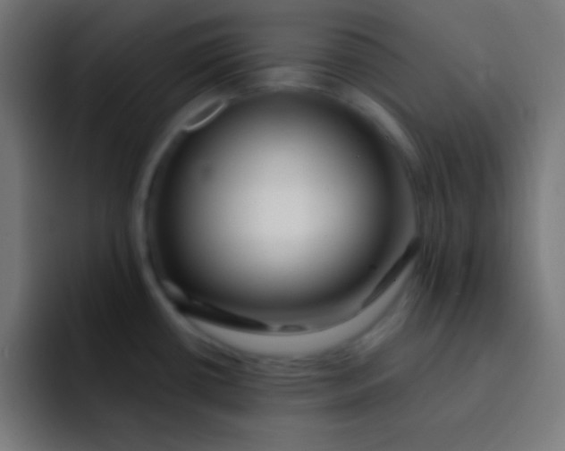 X0000092081434200710031128