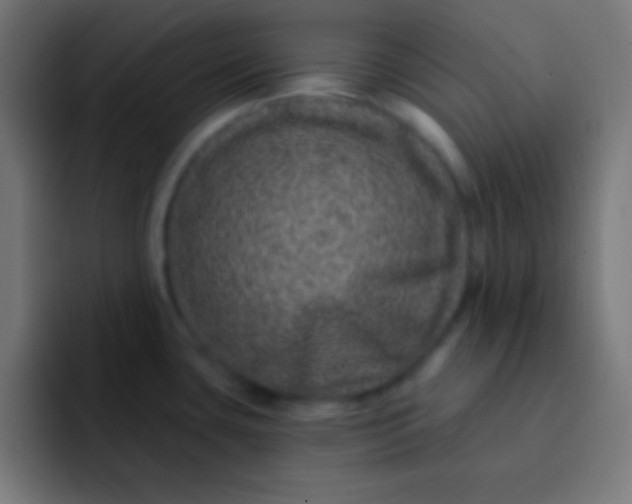 X0000092081435200710031128