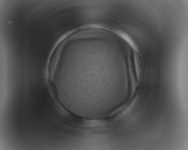 X0000092081436200710031128