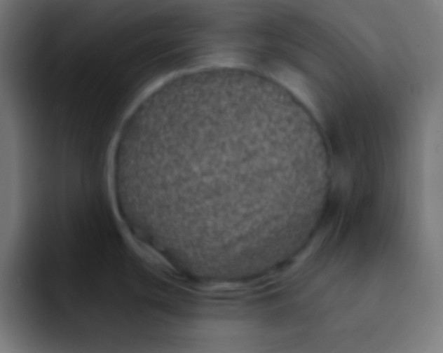 X0000092081439200710031128