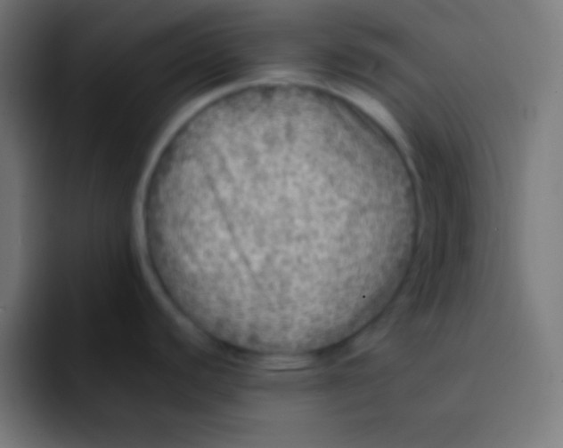 X0000092081440200710031128