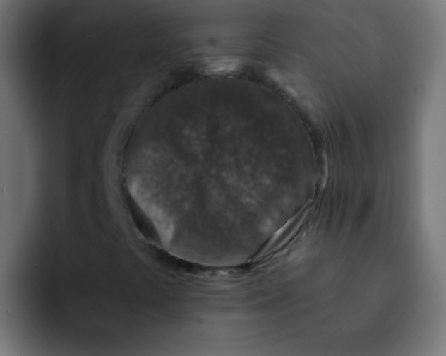 X0000092081441200710031128