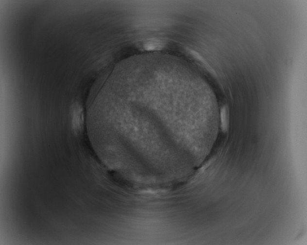 X0000092081443200710031128