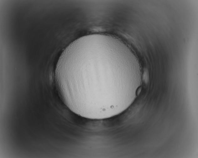 X0000092081444200710031128