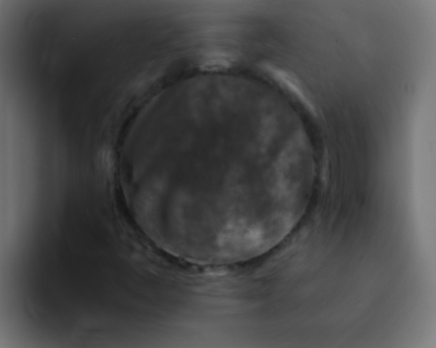 X0000092081445200710031128