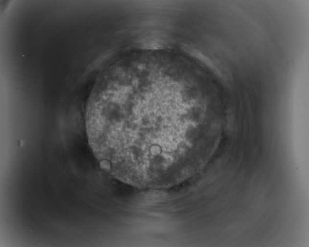 X0000092081446200710031128