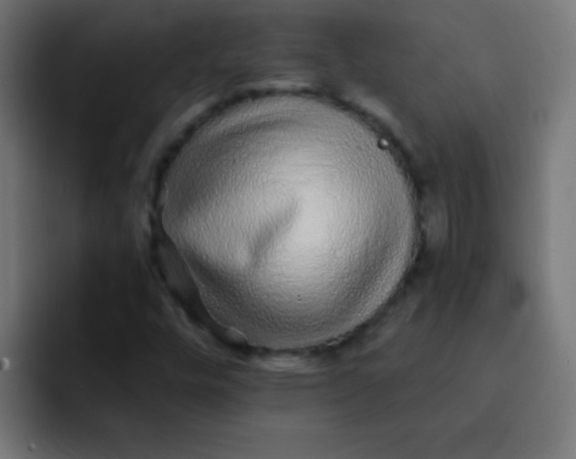 X0000092081448200710031128