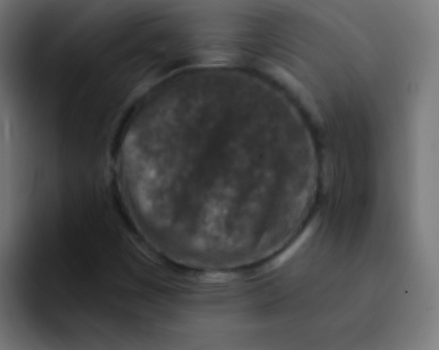 X0000092081449200710031128