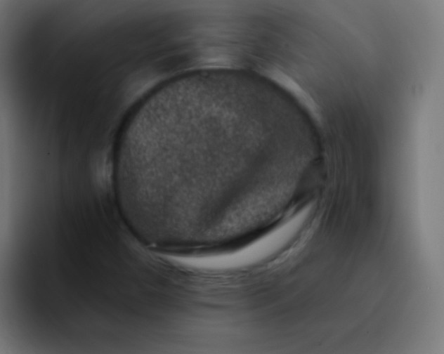 X0000092081450200710031128