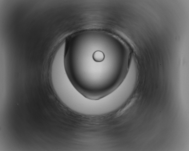 X0000092081453200710031128