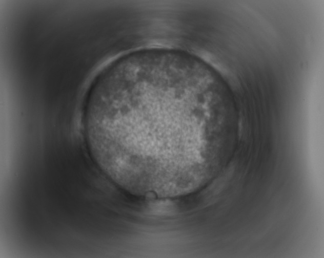 X0000092081454200710031128