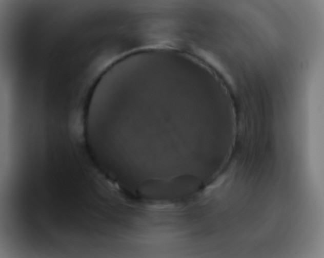 X0000092081455200710031128