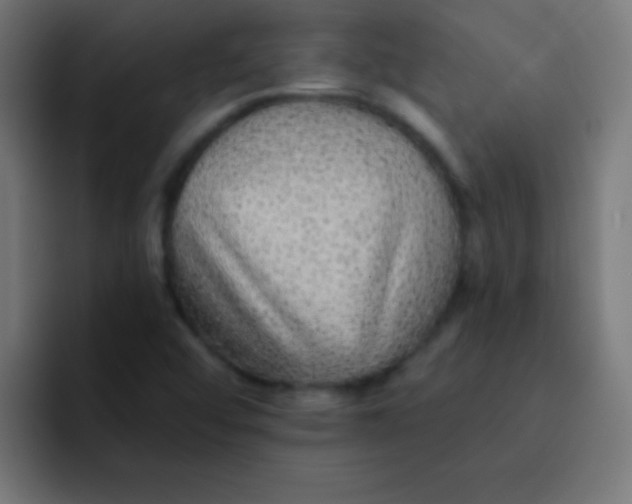 X0000092081456200710031128