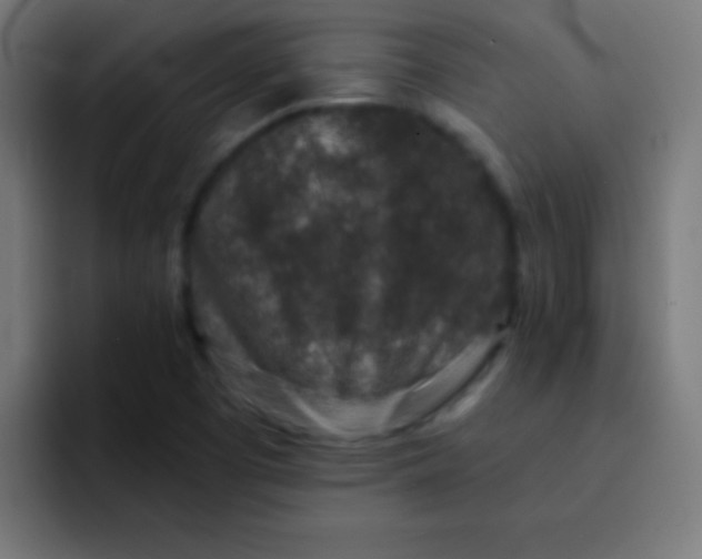 X0000092081457200710031128