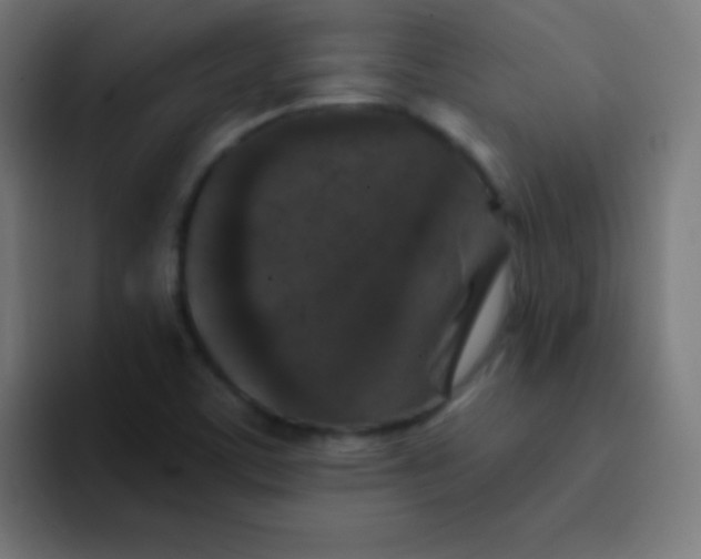 X0000092081459200710031128