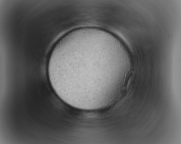 X0000092081460200710031128