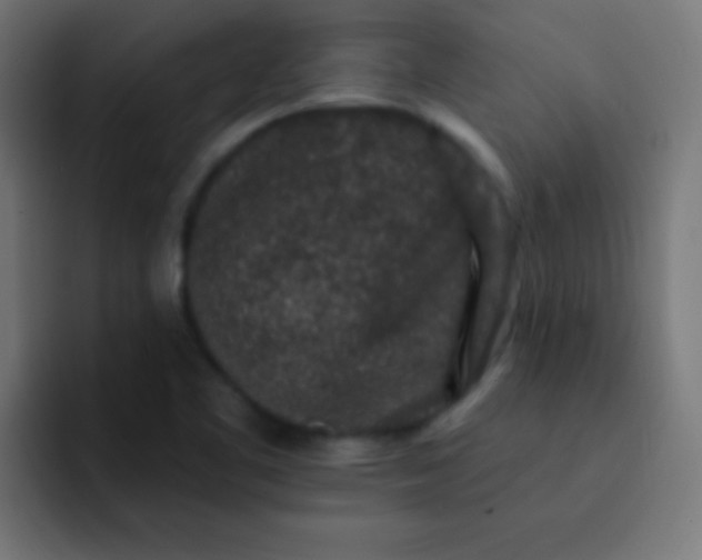 X0000092081461200710031128