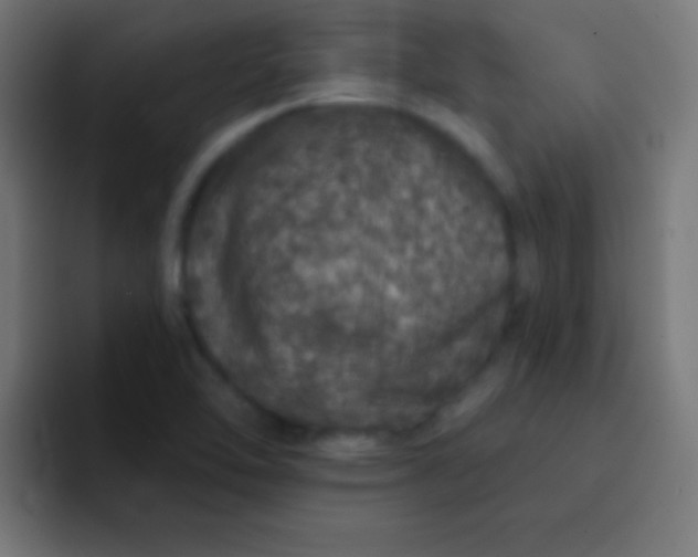 X0000092081462200710031128