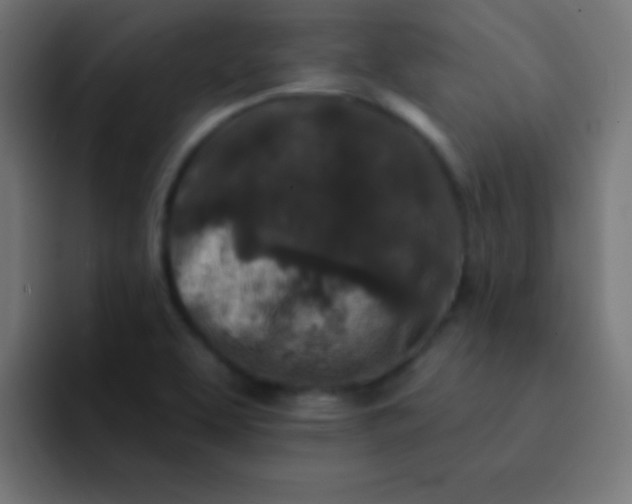 X0000092081463200710031128