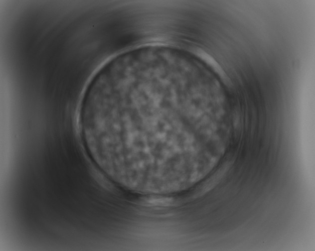 X0000092081466200710031128