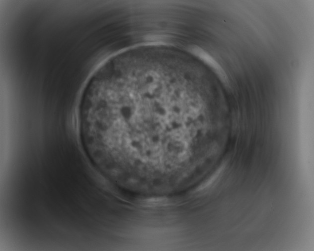 X0000092081467200710031128