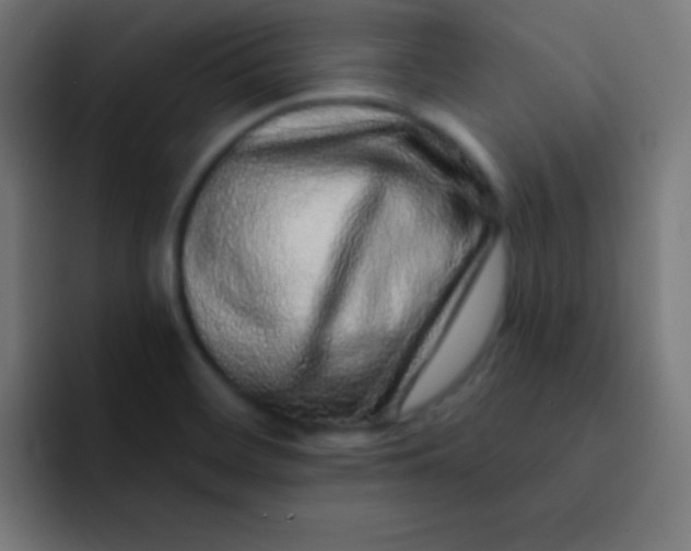 X0000092081468200710031128