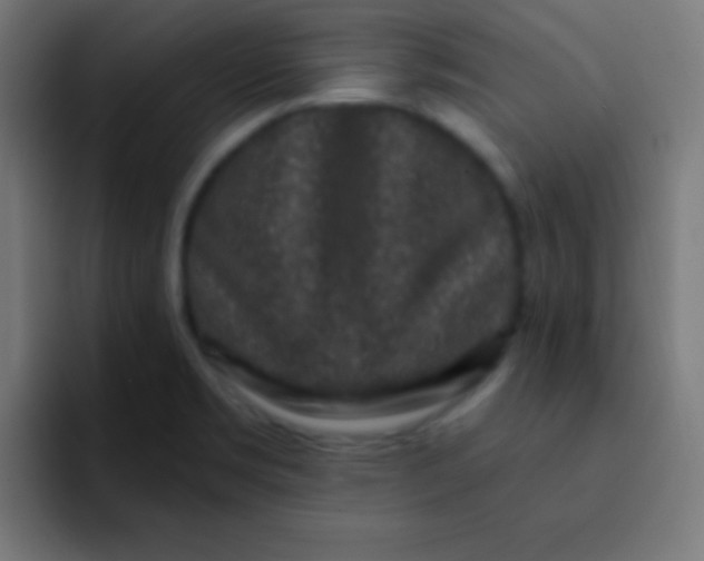 X0000092081469200710031128