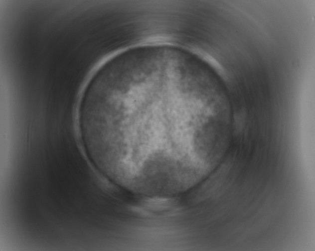 X0000092081470200710031127