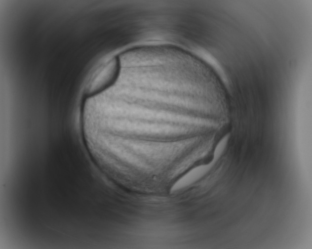 X0000092081472200710031127