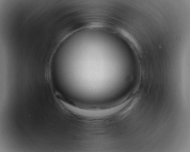 X0000092081473200710031127