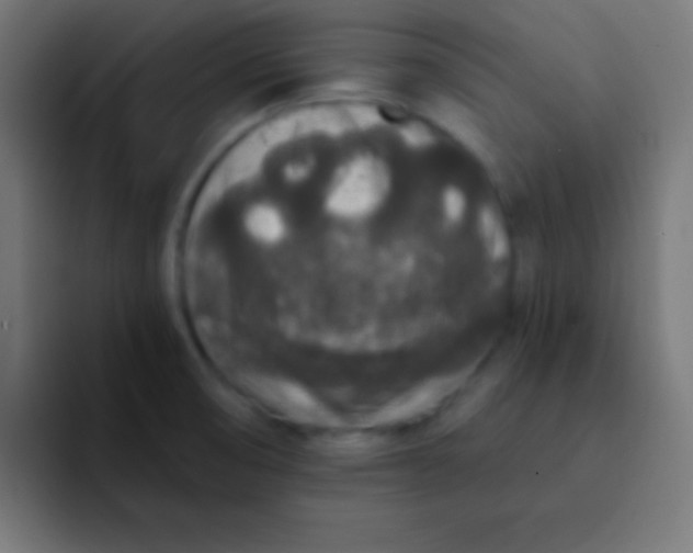 X0000092081474200710031127