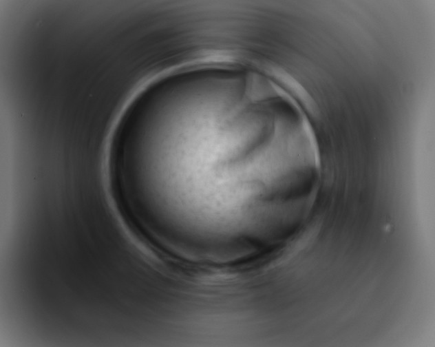 X0000092081475200710031127