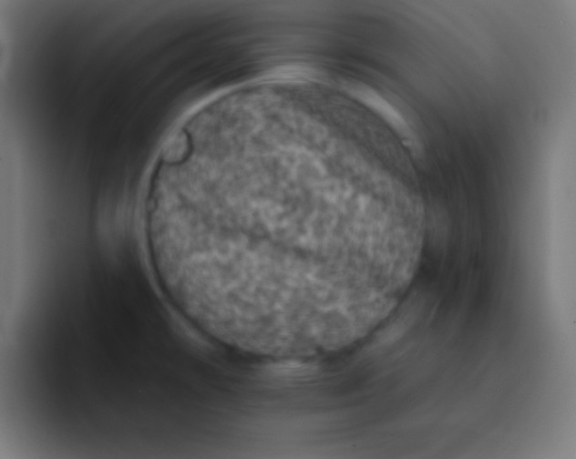 X0000092081478200710031127