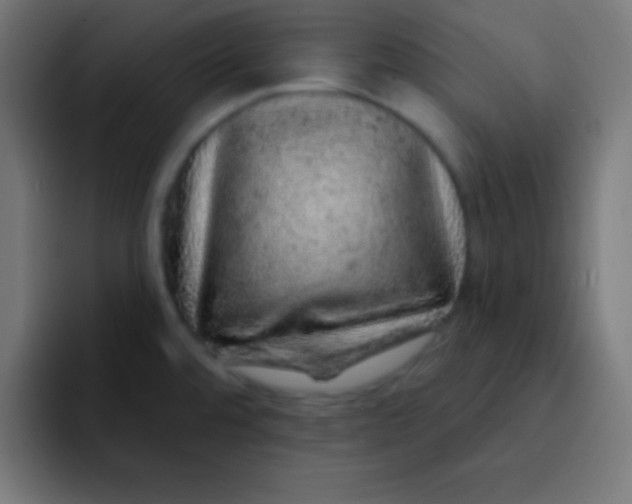 X0000092081480200710031127